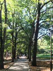 Similar image 21133258