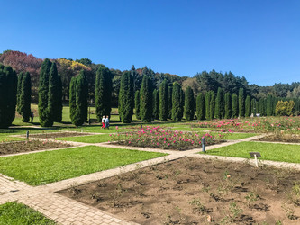 Similar image 21133357