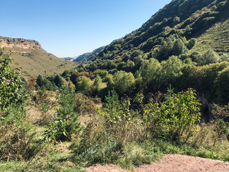 Similar image 21142799