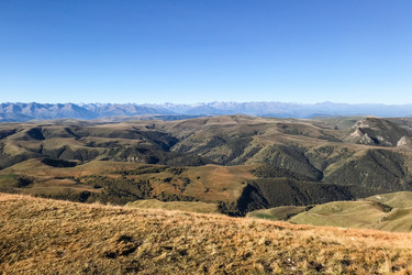 Similar image 21142805