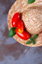 Similar image 21137811