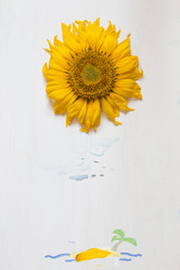 Similar image 21135292