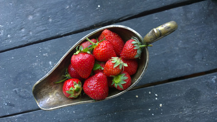 Similar image 21135307