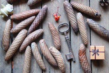 Similar image 21135314