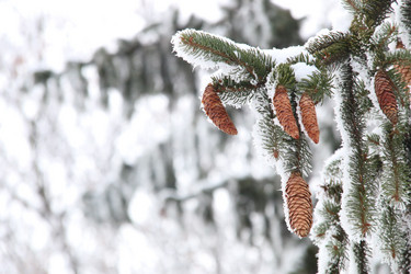 Similar image 21135317