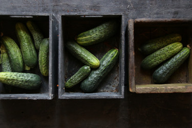 Similar image 21135099