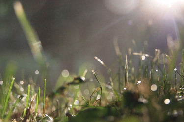 Similar image 21135108