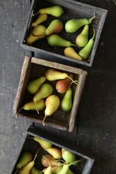 Similar image 21135115