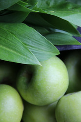 Similar image 21135134