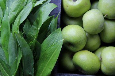 Similar image 21135137