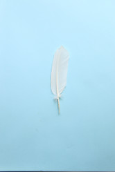 Similar image 21135141