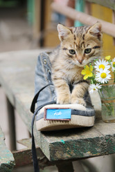 Similar image 21135171