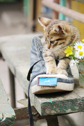 Similar image 21135172