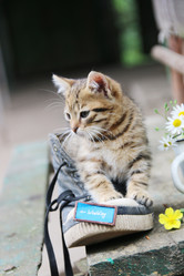 Similar image 21135181