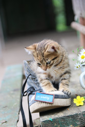 Similar image 21135182