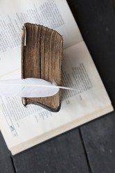 Similar image 21135525