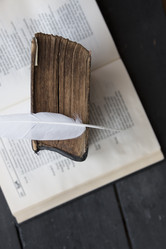 Similar image 21135526