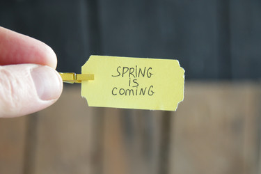 Similar image 21135081