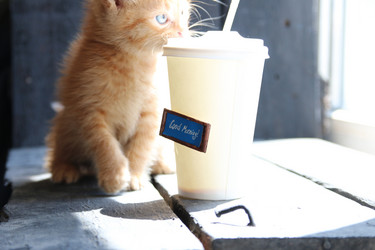 Similar image 21135196