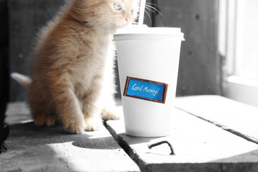 Similar image 21135197