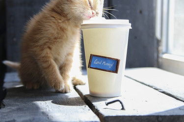 Similar image 21135198