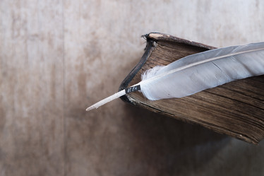 Similar image 21135199