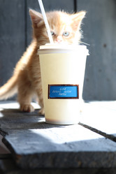 Similar image 21135211