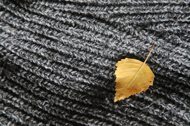 Similar image 21135342