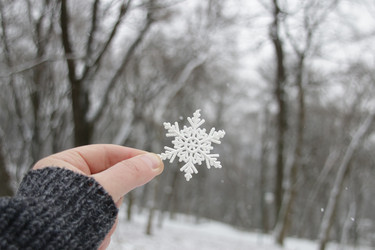 Similar image 21135344