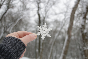 Similar image 21135345