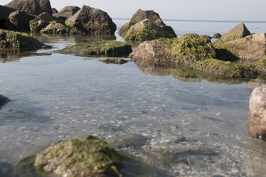 Similar image 21135346