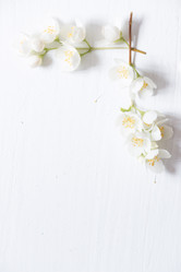 Similar image 21135366