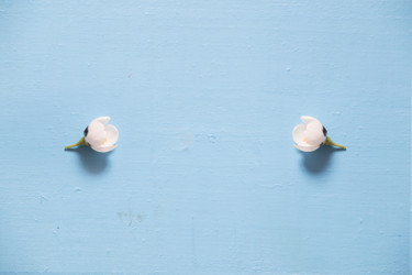 Similar image 21135538