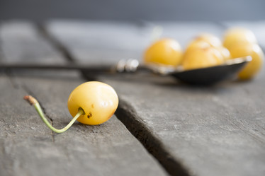 Similar image 21135546