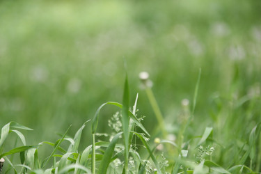 Similar image 21135384