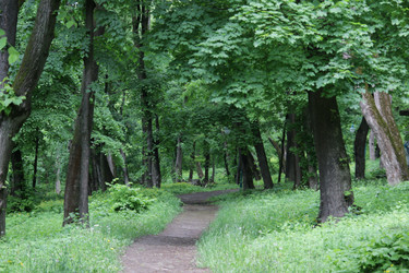 Similar image 21135386