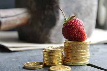 Similar image 21135400