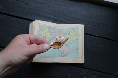 Similar image 21135559