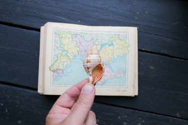 Similar image 21135561