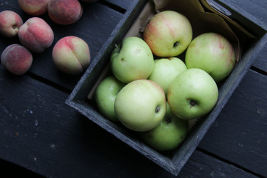 Similar image 21135089