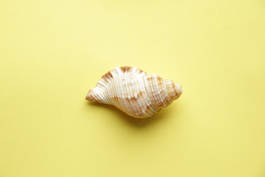 Similar image 21135091