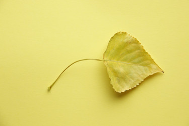 Similar image 21135277