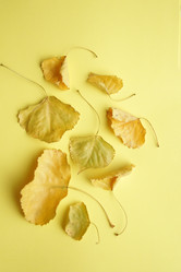 Similar image 21135278