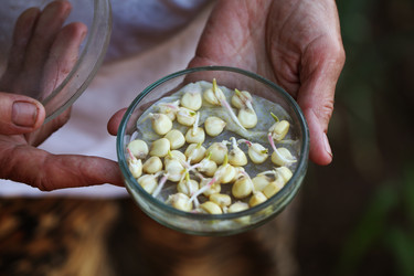 Similar image 21144288