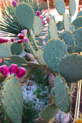 Similar image 21168168