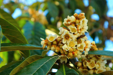 Similar image 21168169