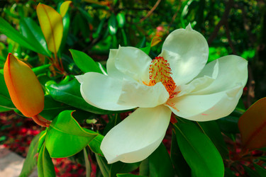 Similar image 21156510