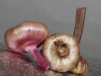 Similar image 21186656