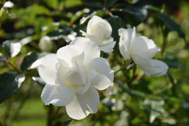 Similar image 21133651