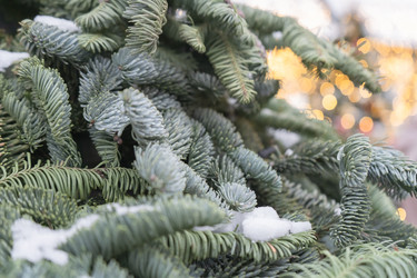 Similar image 21171387